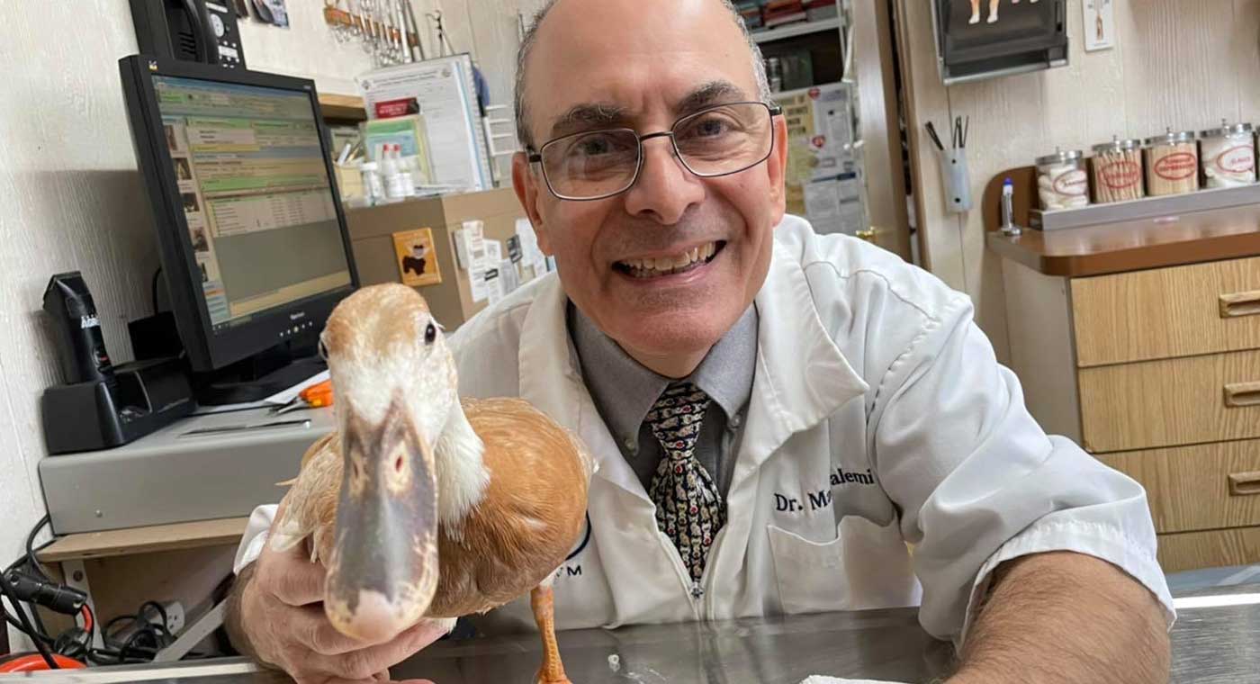 doctor with duck