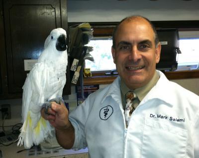 Northside's doctor holding a Cockatoo